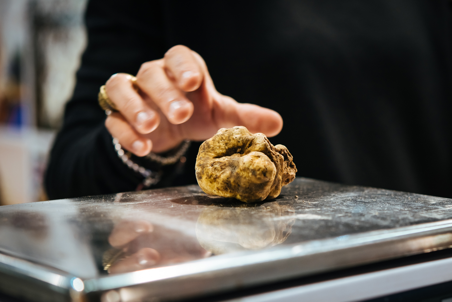 white-truffle